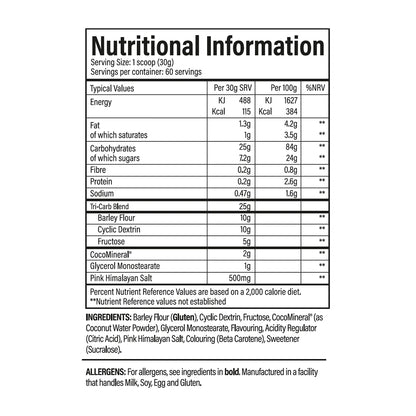 Trained By JP Sustain Intra Workout 1800g